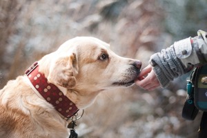 老男孩之猛龙过江电影